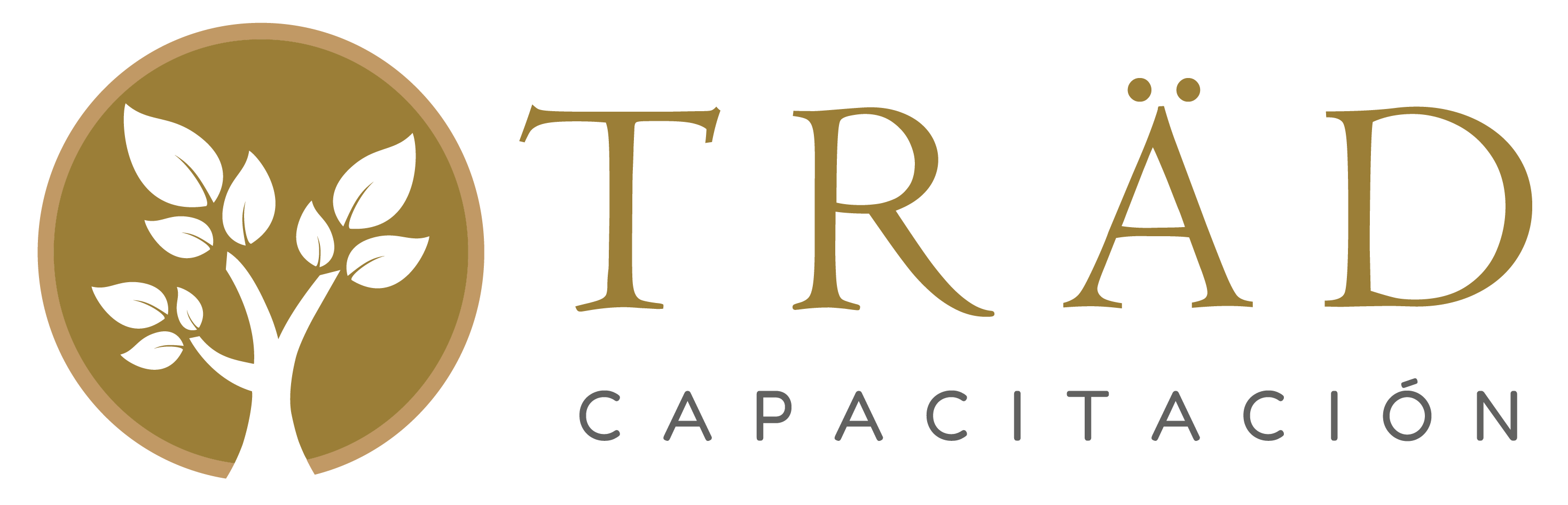 Grupo TRÄD Capacitación